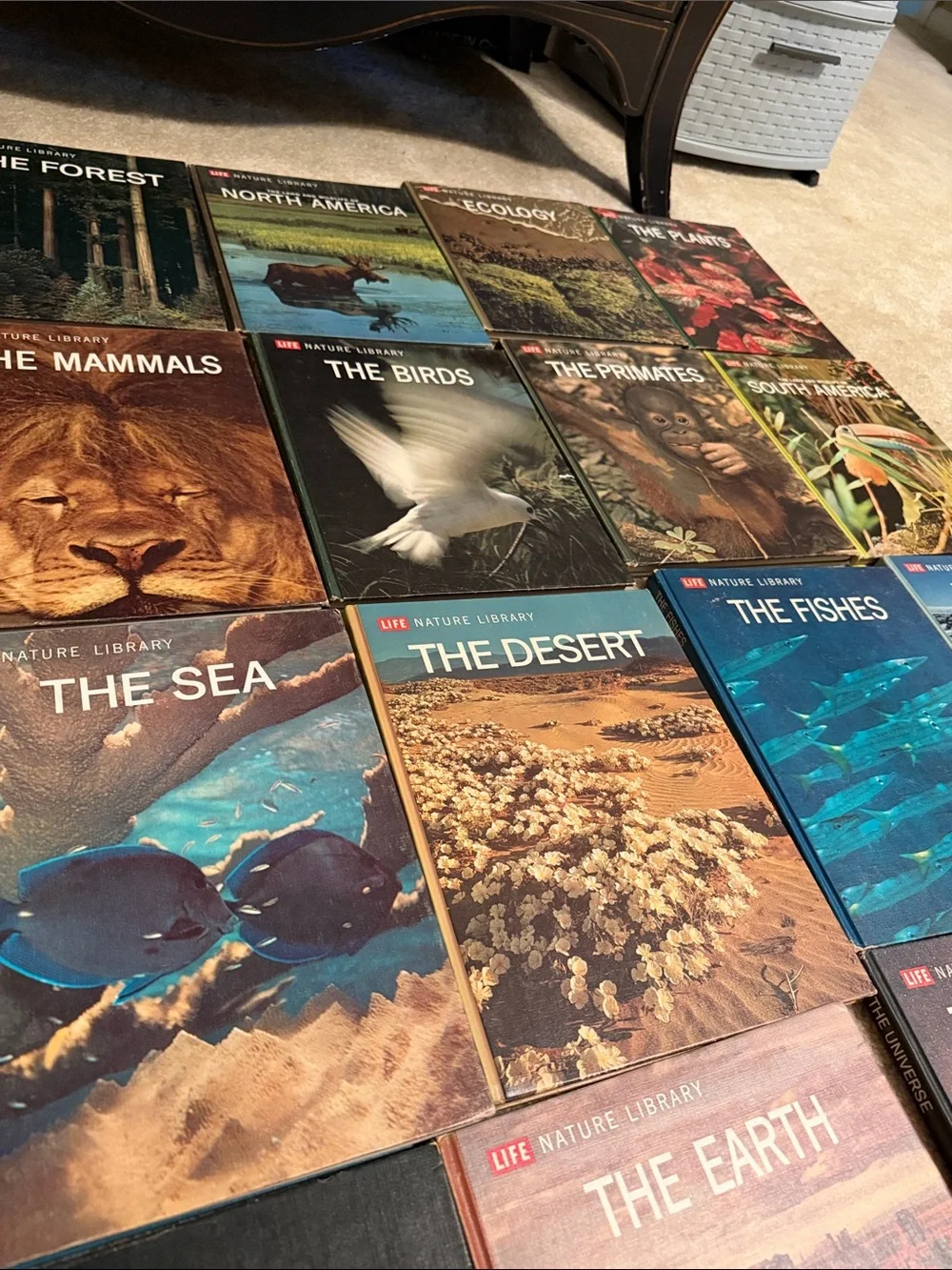 A Guide To Thr Natural World 18 books 📕